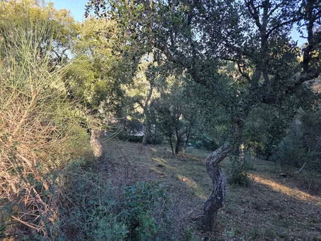 pierrefeu terrain à bâtir 1500 m2 libre constructeur
