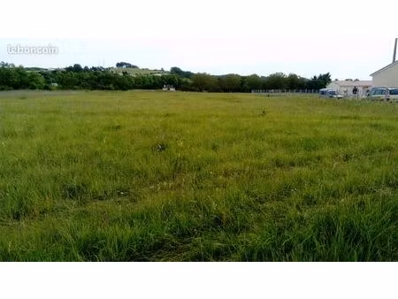 terrain constructible