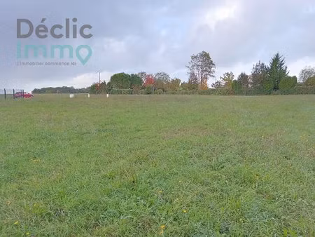 terrain constructible