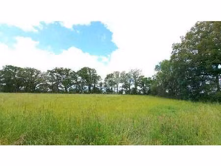vente terrain à vue (44640) : à vendre / 1940m² vue