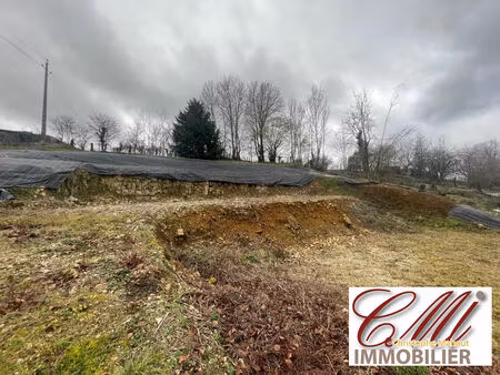 vente terrain 1370 m² saint-dizier (52100)