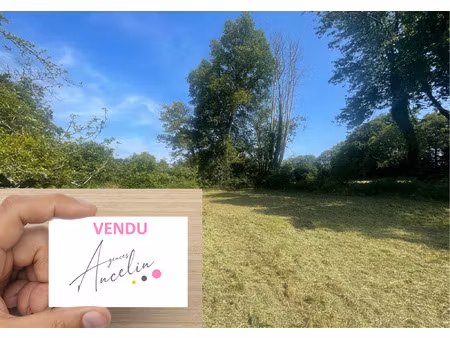 terrain a batir 1010 m2 beganne bourg
