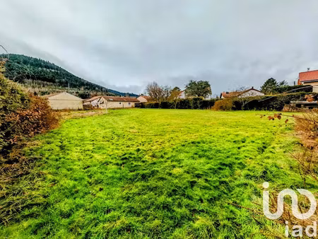vente terrain 1400 m² à raon-l'etape (88110)  35 600 €