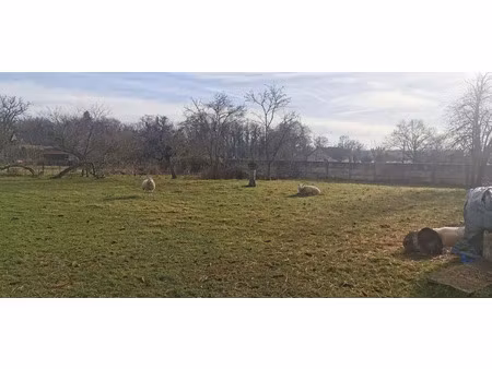 vente terrain 1050 m² à saint-loup (03150)  21 000 €