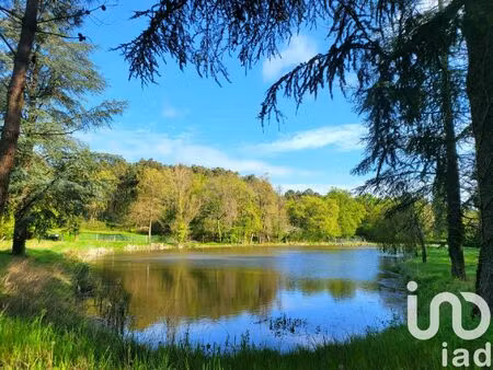 vente terrain 50000 m² antran (86100)