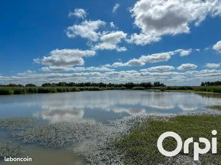 terrain 47 505 m² saint laurent de la pree