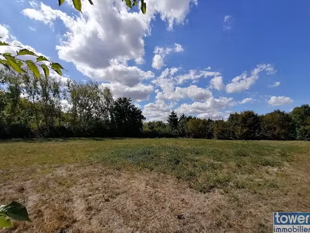 vente terrain 3879 m² à montech (82700)  205 000 €
