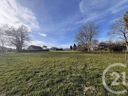 terrain à vendre - 4780 m2 - lannemezan - 65 - midi-pyrenees