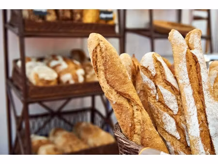 vente locaux professionnels 140 m² à saint-pierreville (07190)  173 000 €