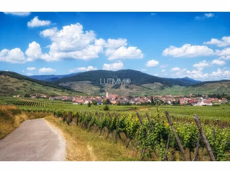 en vente appartement 72 17 m² – 280 000 € |beblenheim