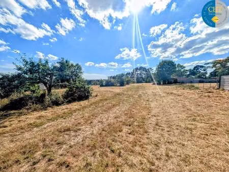 vente terrain à guer (56380) : à vendre / guer
