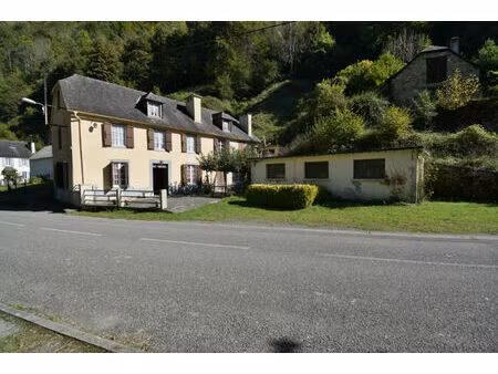 vente maison 10 pièces 220m2 ferrières 65560 - 94000 € - surface privée