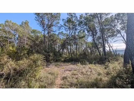 villecroze - terrain 23.790m² peu boisé plat