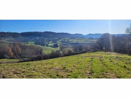 vente terrain 18100 m² puy-d’arnac (19120)