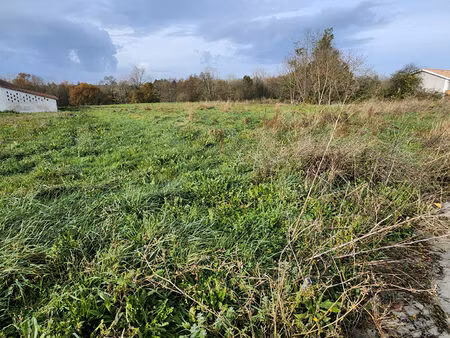 a vendre terrain à batir 1224 m2 viabilisé val-de-livenne