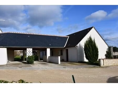 vente immeuble 401 m² la celle-saint-avant (37160)