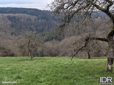 terrain 1884 m² hommert