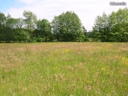 terrain constructible