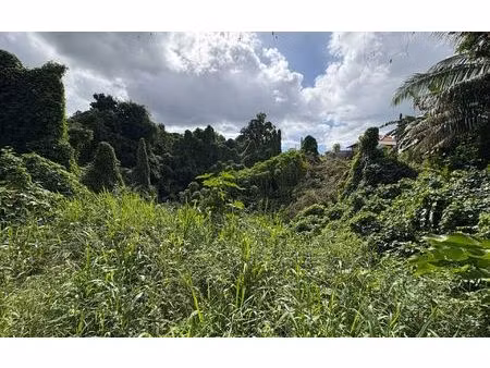 terrain morne-à-l'eau m² t- à vendre  110 000 €