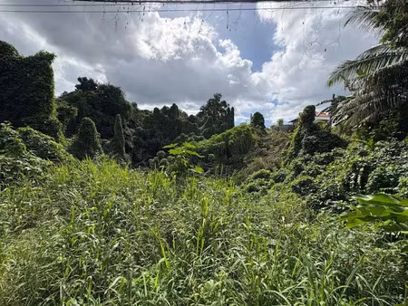 vente terrain à batir 3158 m² à morne a l'eau (97111)  110 000 €