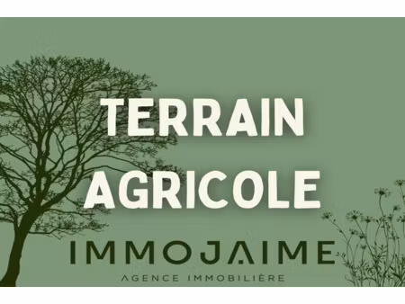 vente terrain 20270m2 le boulou 66160 - 12000 € - surface privée