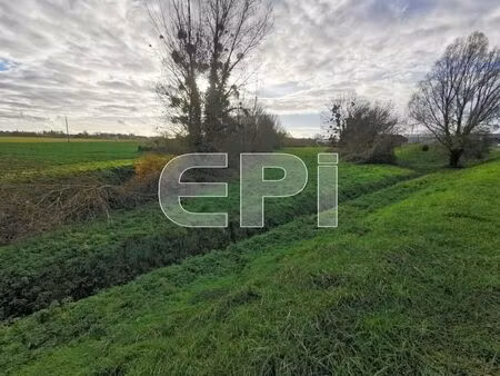 vente terrain 3844 m² richelieu (37120)