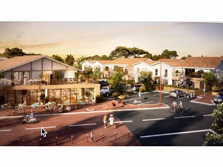 appartement t3 chaleureux au coeur de messanges