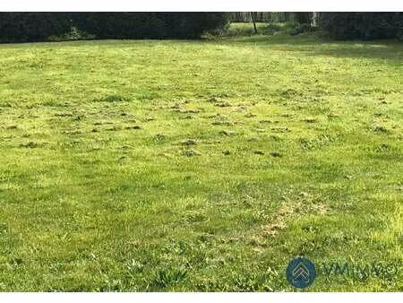 vente terrain à treillières (44119) : à vendre / treillières