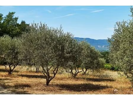 achat : local commercial (84530)