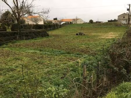 vente terrain à vix (85770) : à vendre / 1500m² vix