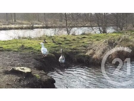 terrain à vendre - 16361 m2 - neuville sous montreuil - 62 - nord-pas-de-calais