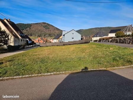 terrain constructible