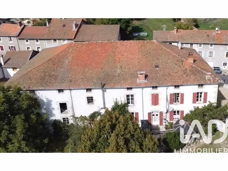 vente maison de village 10 pièces