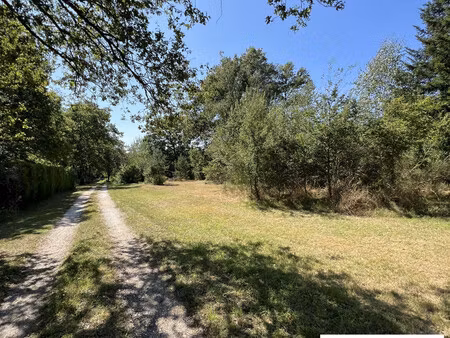 terrain constructible boisé au coeur de la forêt d'orléans. l