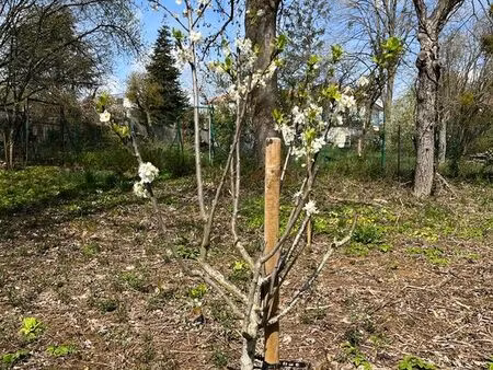 terrain de loisir 1851 m² quartier boufflers  nancy-laxou