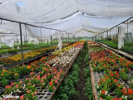 terrain 6648 m² rabastens-de-bigorre