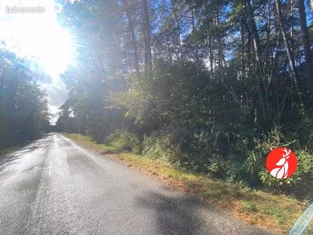 terrain 4 468 m² barbizon