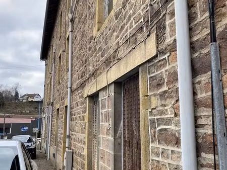 immeuble 273 m² cours-la-ville