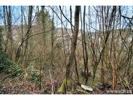 terrain inconstructible en lisière de forêt