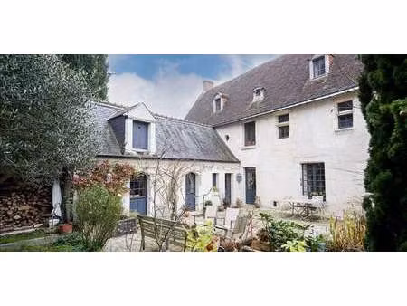 maison avec piscine et jardin saché (37)