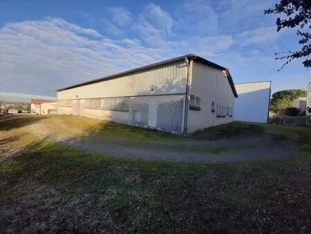 vente entrepôt / local industriel 3 pièces  540.00m²  l'isle