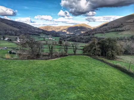 vente terrain 1343m2 saint-palais 64120 - 30000 € - surface privée