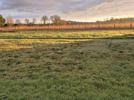 vente terrain à l'aiguillon-sur-vie (85220) : à vendre / 500m² l'aiguillon-sur-vie