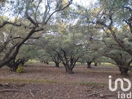 vente terrain agricole 35 260 m²