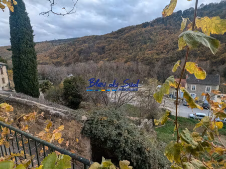 grande maison de village 3 faces avec cave et balcons