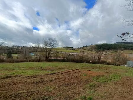 vente terrain 505 m² cublize (69550)