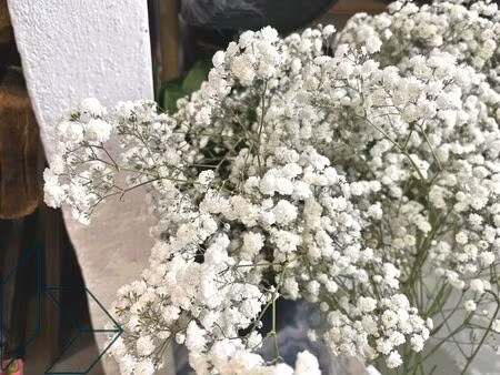 vente commerce 64 m² sarzeau (56370)