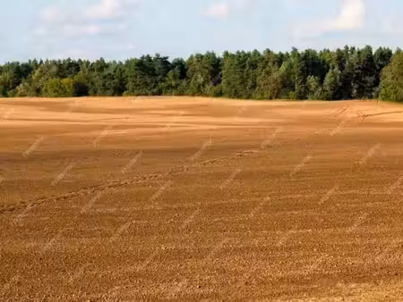vente terrain nanteuil-la-forêt 51480 - - surface privée