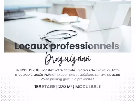 locaux professionnels