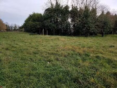 vente terrain à nalliers (85370) : à vendre / 3243m² nalliers